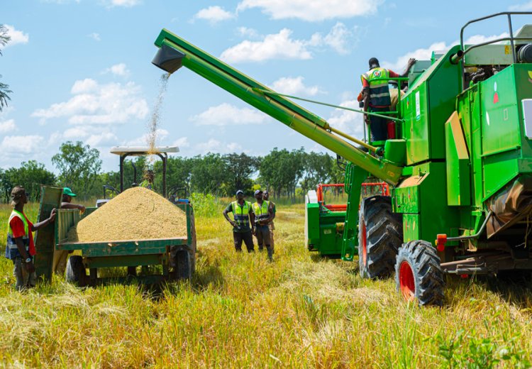 Agriculture : des pistes pour stimuler l’emploi des jeunes
