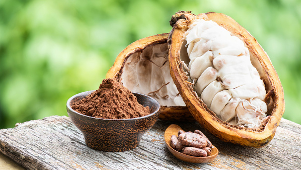 Le prix du cacao connaît une baisse marquée ces derniers mois, et cette tendance ne relève pas du hasard.