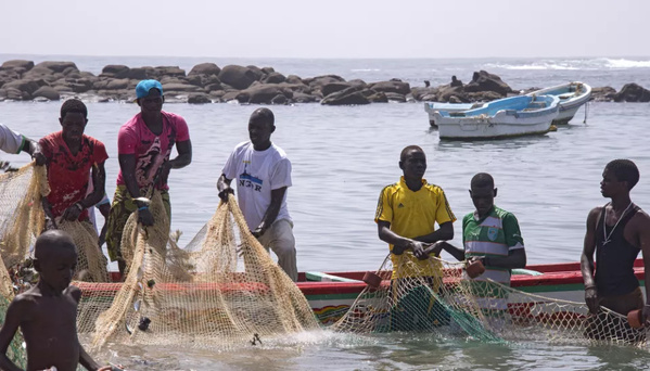 Sénégal : la mer se vide de poissons, les pêcheurs sombrent Sénégal : la mer se vide de poissons, les pêcheurs sombrent