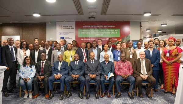 Le swollen shoot n’est pas qu’un défi national, mais plutôt régional.. Le swollen shoot n’est pas qu’un défi national, mais plutôt régional..