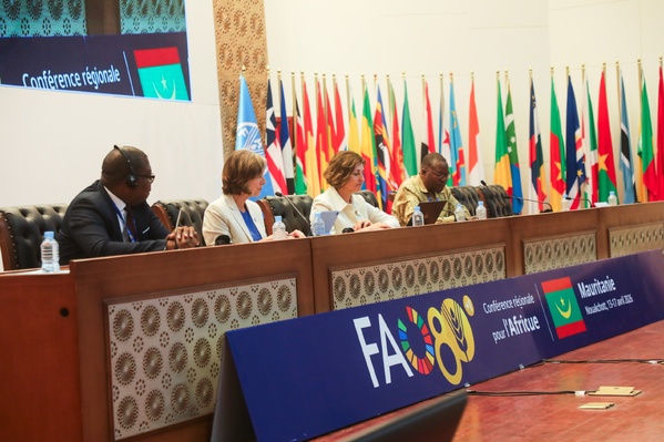 Réunion de la FAO consacrée au financement de la transformation des systèmes agroalimentaires en Afrique, tenue à Nouakchott, en Mauritanie.