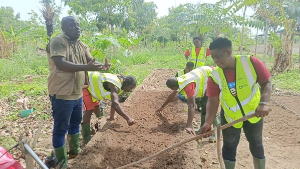 100 jeunes formés agriculteurs formés à Bouaflé. 100 jeunes formés agriculteurs formés à Bouaflé.