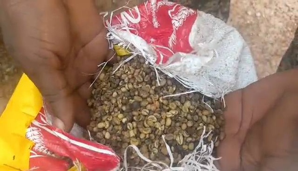 Vingt et un tonnes de café saisies à Doropo