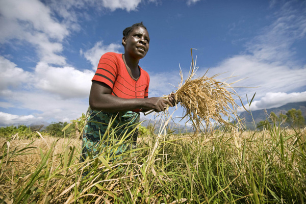 Développement humain en Afrique : une progression lente freinée par de fortes inégalités Développement humain en Afrique : une progression lente freinée par de fortes inégalités