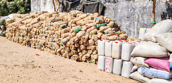 Casamance / 6 tonnes de chanvre, 14 interpellations, 400 millions saisis: Le bilan de l'opération ELOL