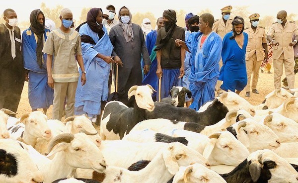 Des commerçants de bétail maliens s’activent à acheminer leurs troupeaux vers la Côte d’Ivoire. Des commerçants de bétail maliens s’activent à acheminer leurs troupeaux vers la Côte d’Ivoire.