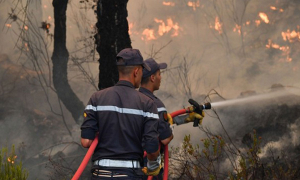 Maroc : alerte rouge sur 20 provinces face à un risque extrême d’incendies de forêt