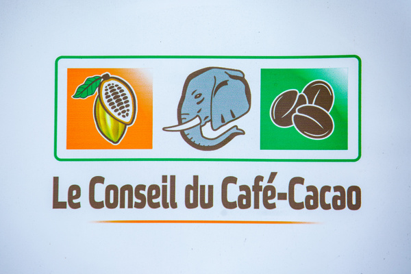 Filière cacao : le Conseil du Café-Cacao ferme le dossier des 100 000 tonnes et appelle à préparer la nouvelle campagne