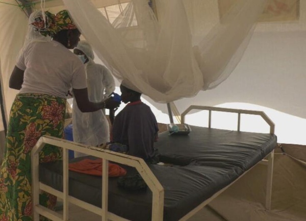 Plus de 1 000 cas de choléra et 28 décès sont recensés dans l’Extrême-Nord du Cameroun