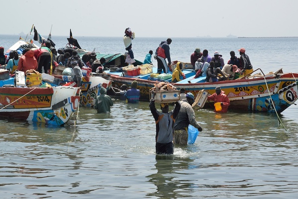 Des pêcheurs sénégalais