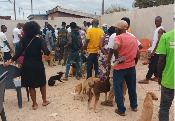 Gagnoa : deux morts de la rage humaine après des morsures de chiens Gagnoa : deux morts de la rage humaine après des morsures de chiens