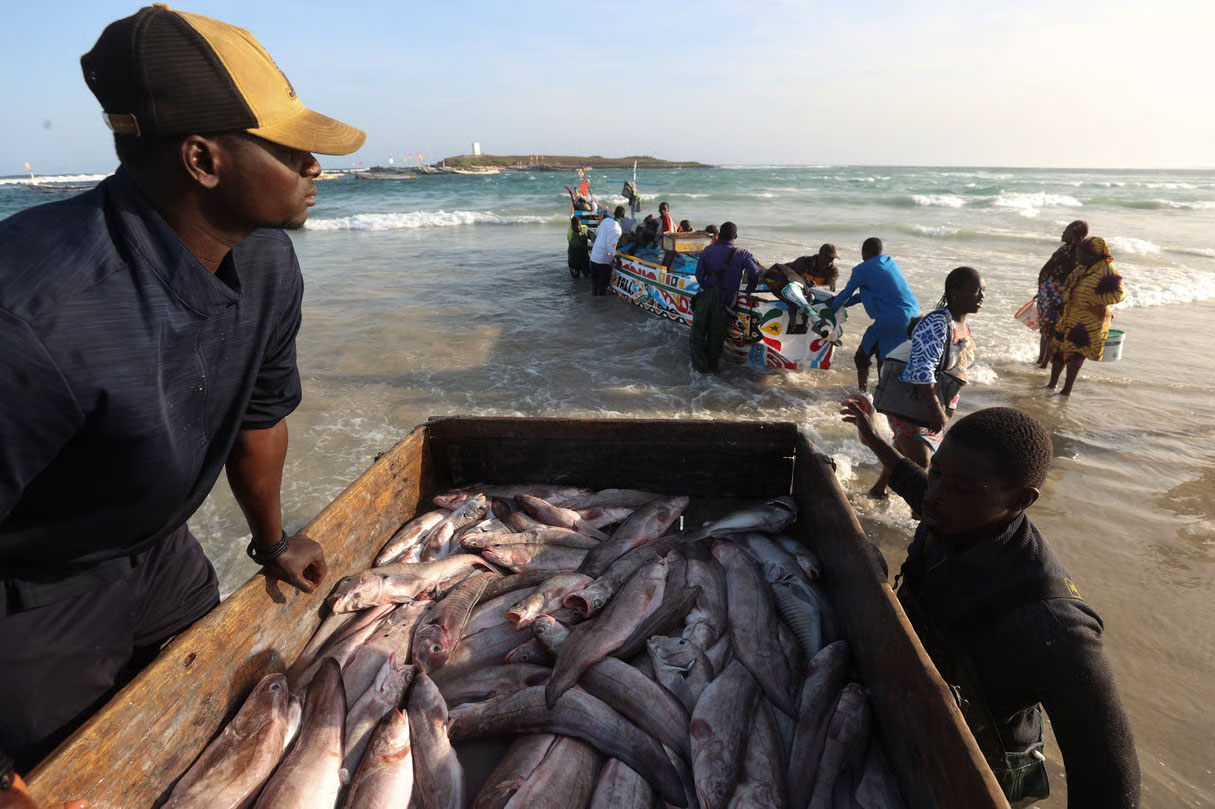 Les pêcheurs artisanaux redoutent notamment une concurrence accrue avec les chalutiers industriels.