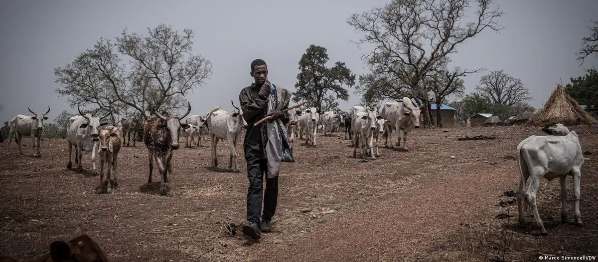 Agriculteurs et éleveurs ont chacun consenti à des concessions dans le cadre de l’accord de paix. (Photo d’illustration)