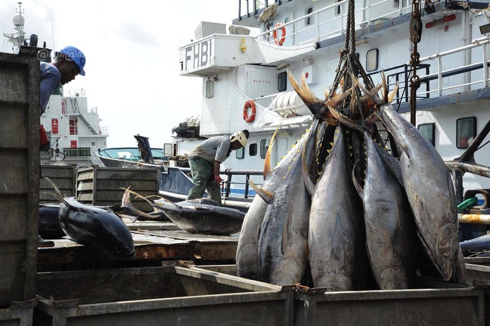 Côte d’Ivoire : le repos biologique des pêches entre en vigueur le 1er juillet