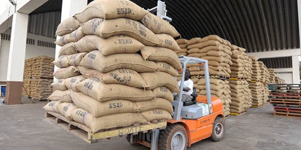 La Côte d'Ivoire, le Ghana, le Cameroun et le Nigeria mettront en place un système permettant d’harmoniser les politiques de fixation des prix du cacao aux producteurs