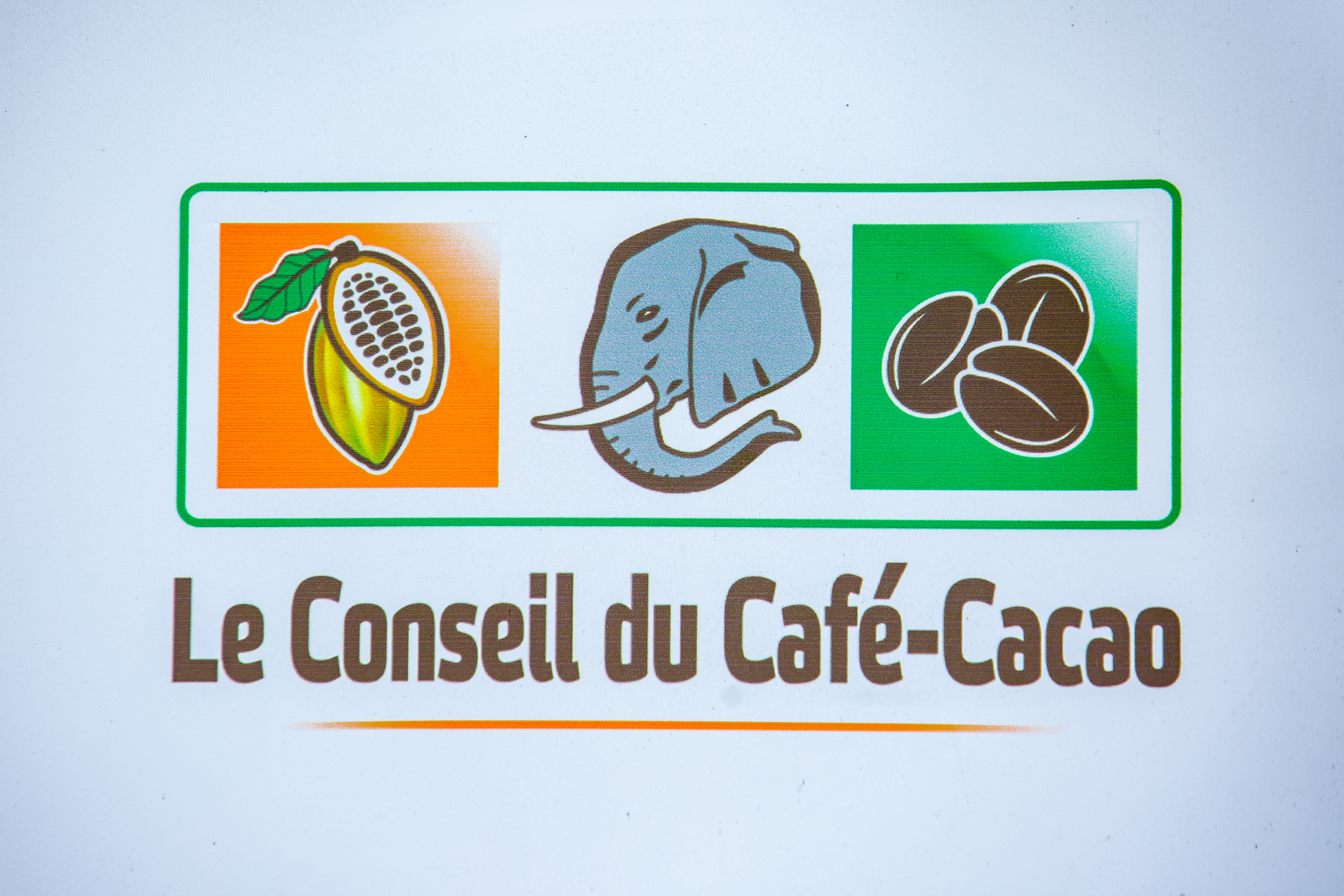 Filière cacao : le Conseil du Café-Cacao ferme le dossier des 100 000 tonnes et appelle à préparer la nouvelle campagne