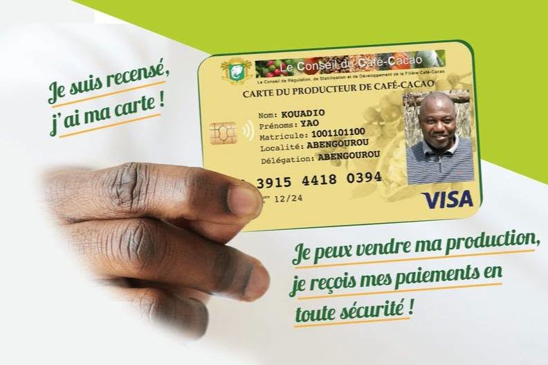 Dès le 1er septembre, la Carte du Producteur sera obligatoire pour le café et le cacao.