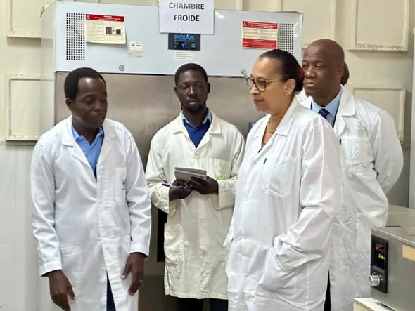 Vital Plus une solution naturelle testée pour éviter l’arrachage des cacaoyers infectés