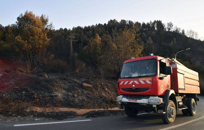Algérie : les incendies font 12 morts et ravagent le nord-est du pays
