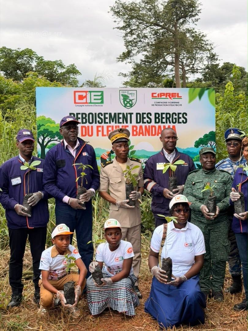 30 000 plants pour restaurer les berges du Bandama