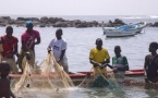 Sénégal : la mer se vide de poissons, les pêcheurs sombrent