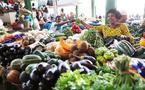 Côte d’Ivoire : vers une sécurisation des engrais pour renforcer la production vivrière
