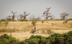 Nouvelles attaques au Mali : plus de 30 morts dans le centre du pays, l’armée annonce des représailles