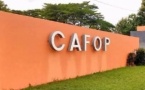 Concours CAFOP : 32 000 enseignants recrutés depuis 2020, 7 000 admis attendus en 2026