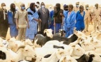 AES – Exportation du bétail vers la Côte d’Ivoire : quand le Burkina ferme ses portes, le Mali saisit l’opportunité