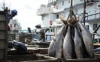 Côte d’Ivoire : le repos biologique des pêches entre en vigueur le 1er juillet