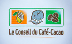 Filière cacao : le Conseil du Café-Cacao ferme le dossier des 100 000 tonnes et appelle à préparer la nouvelle campagne