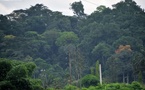 Côte d’Ivoire : 62,8 millions FCFA versés aux villages qui protègent la forêt de Taï