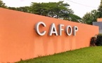 CAFOP 2ᵉ tour : les admissibles face au test psychotechnique ce 18 août