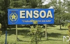 ENSOA 2026 : les résultats définitifs du concours d’entrée sont disponibles