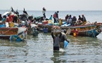 Sénégal–Côte d’Ivoire : 219 000 tonnes de poissons congelés en deux ans