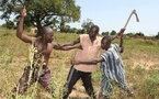 Foncier rural : 4 396 conflits enregistrés en Côte d’Ivoire en neuf mois
