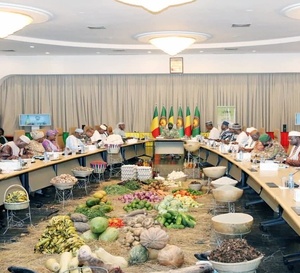 Mali : 164 milliards FCFA pour sécuriser la campagne agricole 2026-2027