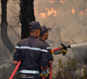Maroc : alerte rouge sur 20 provinces face à un risque extrême d’incendies de forêt