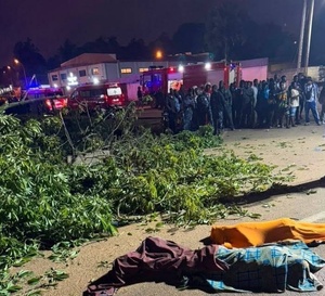 Bouaké : le mythique fromager de Nimbo s'effondre, trois morts et trois blessés graves
