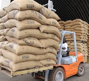Cacao : la Côte d’Ivoire, le Ghana, le Nigeria et le Cameroun unissent leurs forces pour peser sur le marché mondial