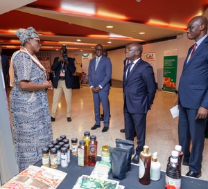 La Côte d’Ivoire veut imposer son savoir-faire artisanal au Cameroun