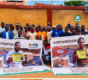 Cavally : le Conseil du Café-Cacao lance la campagne régionale de sensibilisation sur le Système national de traçabilité
