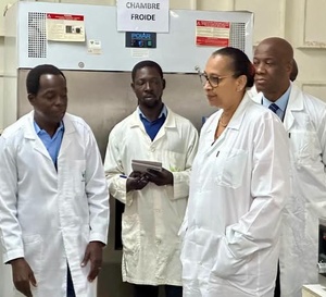 Côte d’Ivoire : une solution naturelle contre le Swollen Shoot du cacaoyer