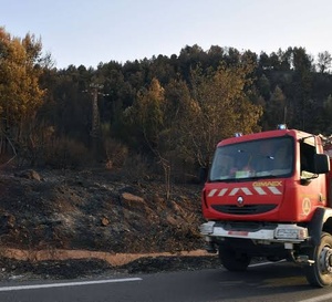 Algérie : les incendies font 12 morts et ravagent le nord-est du pays