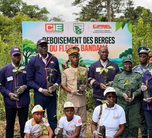 Kossou : 30 000 plants pour restaurer les berges du Bandama