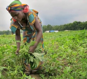 Burundi : Goreth Minanni, le courage d’une femme rurale face aux défis agricoles