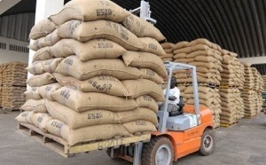 Filière Café-Cacao : reprise des achats, les exportateurs saluent l’action du Conseil Café-Cacao