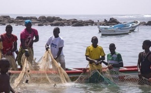 Sénégal : la mer se vide de poissons, les pêcheurs sombrent