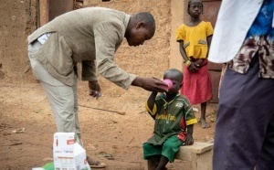 Paludisme : Pékin partage son modèle avec le continent africain