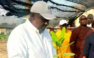 Agriculture - Benin: lancement de la campagne 2026-2027 avec de fortes ambitions de production